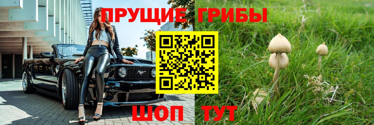 Галлюциногенные грибы Psilocybe Первоуральск